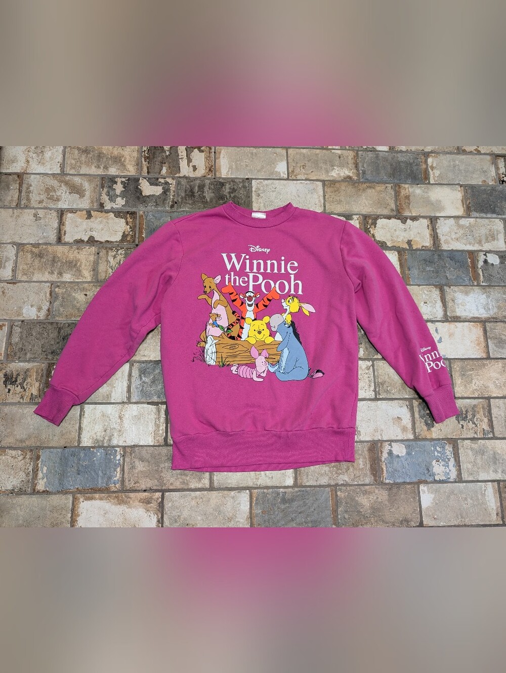 Disney Hot Pink Winnie the Pooh Graphic Crewneck Sweatshirt Women's Small